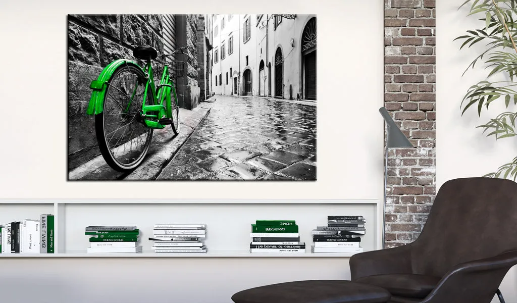 Quadro Vintage Green Bike