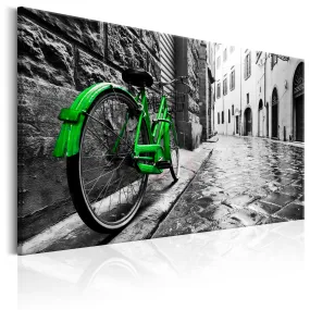 Quadro Vintage Green Bike